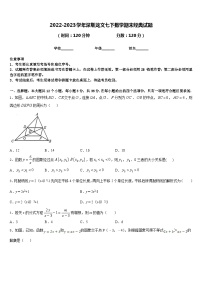 2022-2023学年深圳龙文七下数学期末经典试题含答案