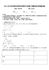 2022-2023学年深圳市华侨实验中学数学七年级第二学期期末复习检测模拟试题含答案