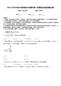 2022-2023学年浙江省苍南县七年级数学第二学期期末达标检测模拟试题含答案