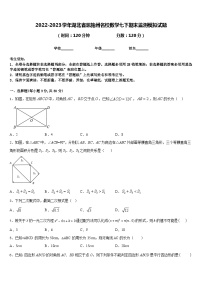 2022-2023学年湖北省恩施州名校数学七下期末监测模拟试题含答案