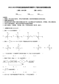 2022-2023学年湖北省恩施州咸丰县数学七下期末达标检测模拟试题含答案