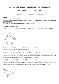 2022-2023学年湖北省武汉市梅苑中学数学七下期末监测模拟试题含答案