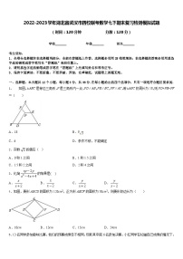 2022-2023学年湖北省武汉市四校联考数学七下期末复习检测模拟试题含答案