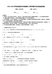 2022-2023学年湖北省武汉市新观察七下数学期末学业质量监测试题含答案