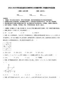 2022-2023学年湖北省武汉为明学校七年级数学第二学期期末考试试题含答案