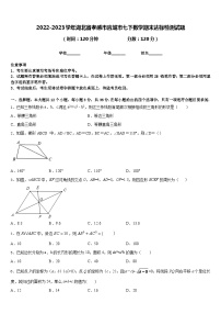 2022-2023学年湖北省孝感市应城市七下数学期末达标检测试题含答案