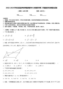 2022-2023学年湖北省孝感孝昌县联考七年级数学第二学期期末检测模拟试题含答案