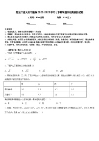 黑龙江省大庆市肇源2022-2023学年七下数学期末经典模拟试题含答案