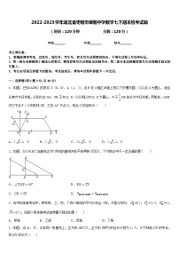 2022-2023学年湖北省枣阳市蔡阳中学数学七下期末统考试题含答案