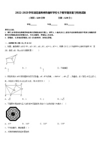 2022-2023学年湖北省荆州市南昕学校七下数学期末复习检测试题含答案