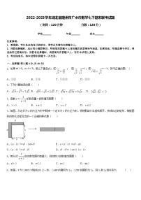 2022-2023学年湖北省随州市广水市数学七下期末联考试题含答案