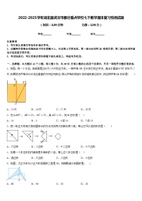 2022-2023学年湖北省武汉市部分重点学校七下数学期末复习检测试题含答案