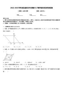 2022-2023学年湖北省武汉市汉阳区七下数学期末质量检测试题含答案