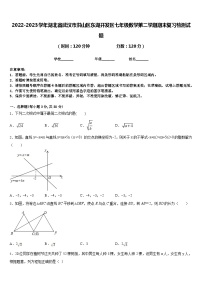 2022-2023学年湖北省武汉市洪山区东湖开发区七年级数学第二学期期末复习检测试题含答案