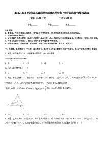 2022-2023学年湖北省武汉市武昌区八校七下数学期末联考模拟试题含答案