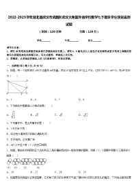 2022-2023学年湖北省武汉市武昌区武汉大附属外语学校数学七下期末学业质量监测试题含答案