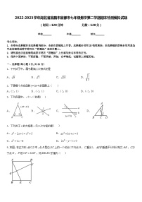 2022-2023学年湖北省宜昌市宜都市七年级数学第二学期期末检测模拟试题含答案