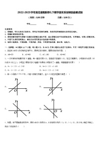 2022-2023学年湖北省阳新县七下数学期末质量跟踪监视试题含答案