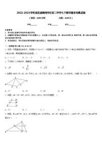 2022-2023学年湖北省黄冈市红安二中学七下数学期末经典试题含答案