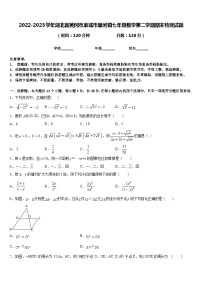 2022-2023学年湖北省黄冈市麻城市顺河镇七年级数学第二学期期末检测试题含答案