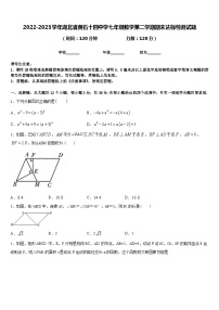 2022-2023学年湖北省黄石十四中学七年级数学第二学期期末达标检测试题含答案