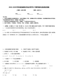 2022-2023学年湖北省黄石市富川中学七下数学期末达标测试试题含答案