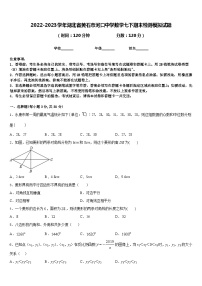 2022-2023学年湖北省黄石市河口中学数学七下期末检测模拟试题含答案