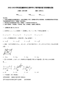 2022-2023学年湖北襄阳老河口四中学七下数学期末复习检测模拟试题含答案