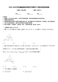 2022-2023学年湖南省娄底市第五中学数学七下期末质量检测试题含答案