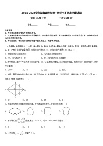 2022-2023学年湖南省师大附中数学七下期末经典试题含答案