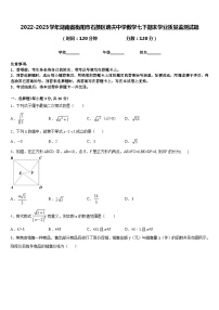 2022-2023学年湖南省衡阳市石鼓区逸夫中学数学七下期末学业质量监测试题含答案