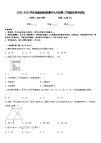 2022-2023学年湖南省衡阳县数学七年级第二学期期末联考试题含答案