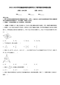 2022-2023学年湖南省耒阳市冠湘学校七下数学期末统考模拟试题含答案