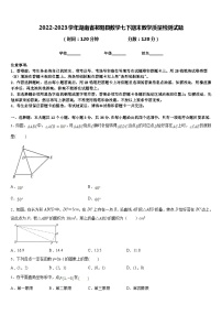 2022-2023学年湖南省祁阳县数学七下期末教学质量检测试题含答案