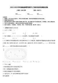 2022-2023学年湖南省湘潭市数学七下期末质量检测模拟试题含答案