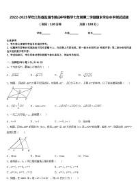 2022-2023学年江苏省盐城市景山中学数学七年级第二学期期末学业水平测试试题含答案