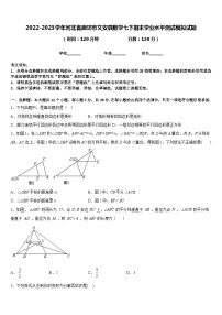 2022-2023学年河北省廊坊市文安县数学七下期末学业水平测试模拟试题含答案