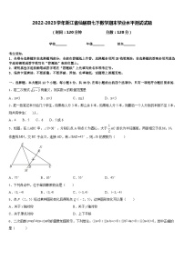 2022-2023学年浙江省仙居县七下数学期末学业水平测试试题含答案