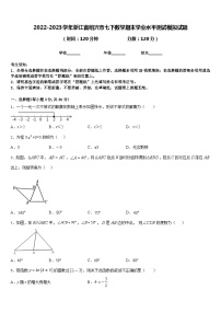 2022-2023学年浙江省绍兴市七下数学期末学业水平测试模拟试题含答案