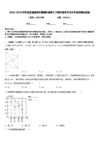 2022-2023学年湖北省随州市曾都区唐县七下数学期末学业水平测试模拟试题含答案