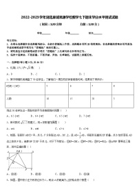 2022-2023学年湖北麻城思源学校数学七下期末学业水平测试试题含答案