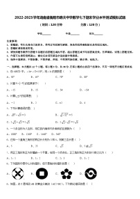 2022-2023学年湖南省衡阳市逸夫中学数学七下期末学业水平测试模拟试题含答案