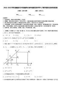 2022-2023学年湖南省长沙市湖南师大附中高新实验中学七下数学期末达标检测试题含答案