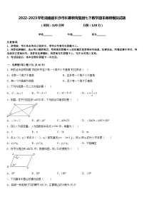 2022-2023学年湖南省长沙市长郡教育集团七下数学期末调研模拟试题含答案