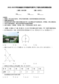 2022-2023学年湖南省长沙外国语学校数学七下期末达标检测模拟试题含答案