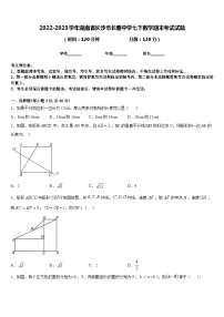 2022-2023学年湖南省长沙市长雅中学七下数学期末考试试题含答案