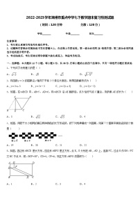 2022-2023学年潮州市重点中学七下数学期末复习检测试题含答案