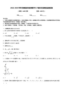 2022-2023学年甘肃临夏和政县数学七下期末质量跟踪监视试题含答案