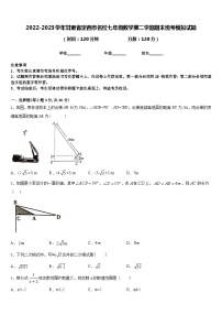 2022-2023学年甘肃省定西市名校七年级数学第二学期期末统考模拟试题含答案