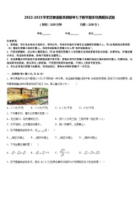 2022-2023学年甘肃省临洮县联考七下数学期末经典模拟试题含答案